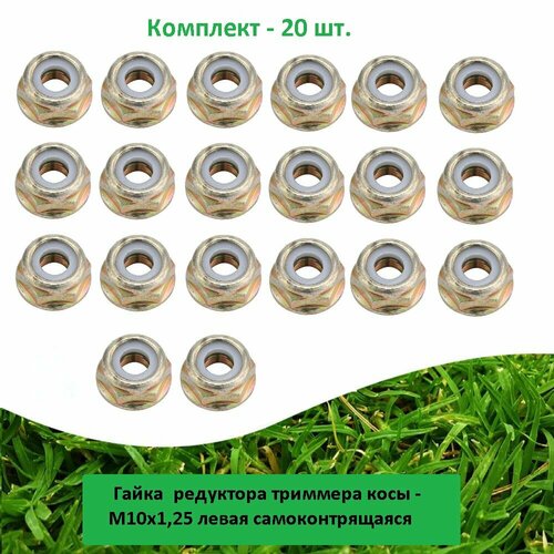���������� ����� (20 ��.) ��������� �������� ���� - M10x1,25 ����� ���������������