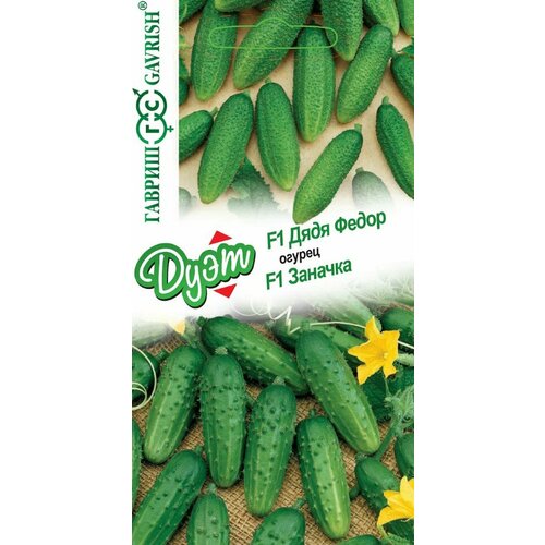 ���������� ����� ����� ������ ���� ����� F1, 10�� � ������ ������� F1, 10��, ������, ����, 10 ���������