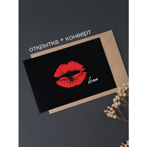 ���������� �������� Udivitti � ��������� 