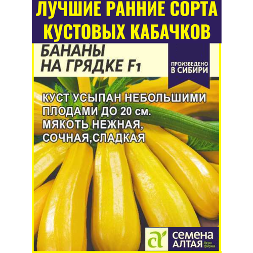 ���������� ������ ������ �������� �������� ������ �� ������ F1 - 1 �. ��������������� ������ ��� ���� ������������ ���