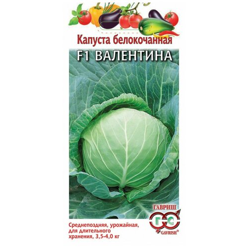 ���������� ������ ������ ������� ������������ ��������� F1 0.1 �