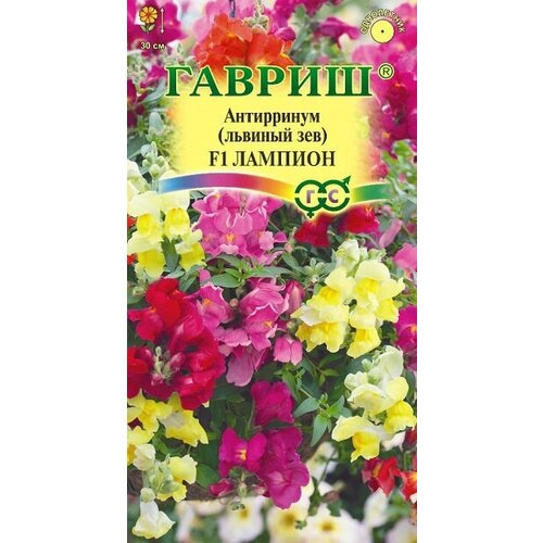 ���������� ������ ������ ������� ��� ��������� ������� 5 ��.