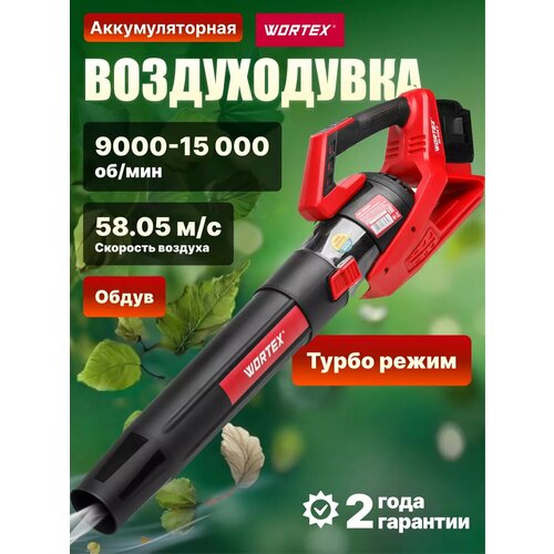 ���������� ������������ �������������� WORTEX BB 2536 D ALL1, ����������� 18� 4 �� - 2 ��, �������� ���������� (1333405)