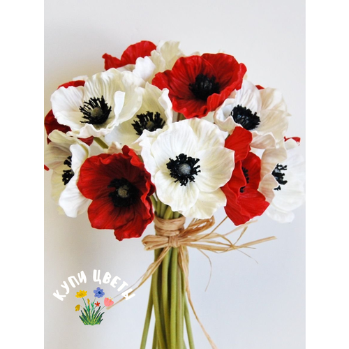 ���������� �������� ������, ���� �����, ������� RED and WHITE MIX (5 �������)