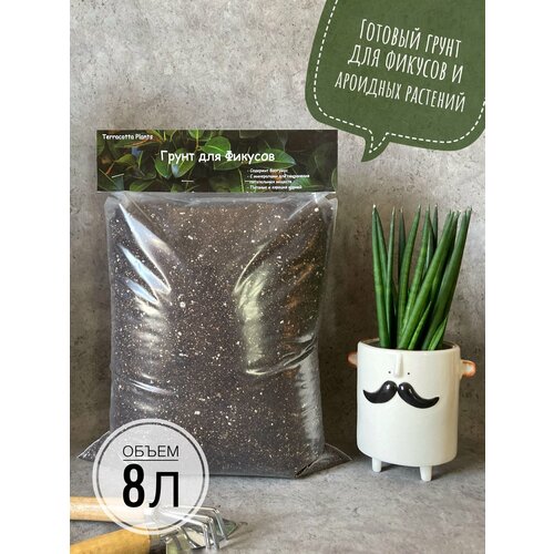 ���������� ������� ����� ��� ������� � �������� �������� 8 ������ Terracotta Plants