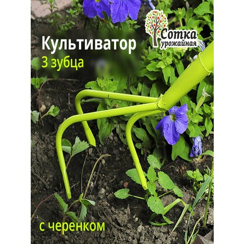 ���������� �����������-��������� 3-� ����� '��������� �����', � ������������� ��������