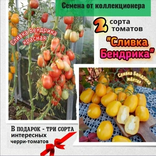 ���������� ������ ������ ��������, ������� � �����, ������������� �����, � ������� -��� ���������� ����� �����