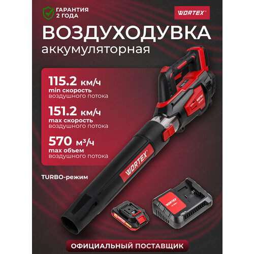 ���������� ������������ �������������� WORTEX BB 2018 D � ������������� � �������� ����������� (1333739)