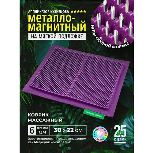 ���������� ���������������� ���������� ��������� �� ������ �������� 30x22��, ����������