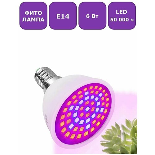   (  ) Maple Lamp PhytoLED, 14, 6 , . LED-E14-6W-Flora   , -, 