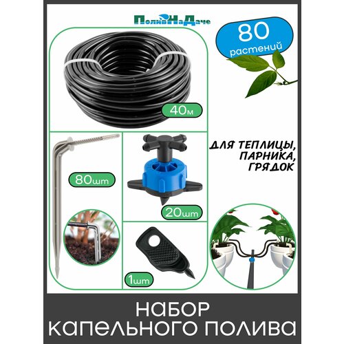 ���������� ����� ���������� ������ �� 80 �������� ��� �������, �������, ������