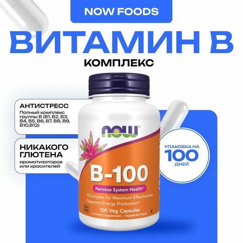 ���������� NOW �-100, �������� ��������� ������ �, 100 ������