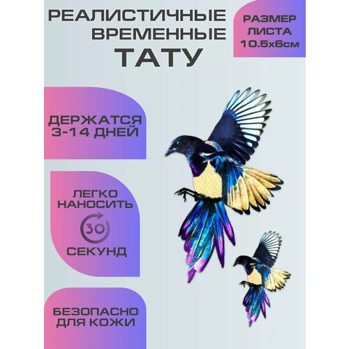 ���������� ���������� ����������, ���� ��������� ������ �����