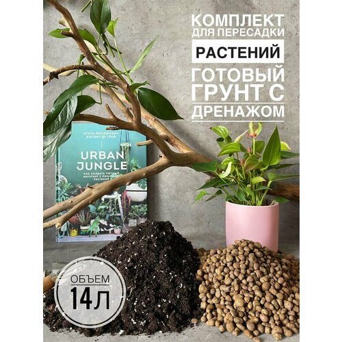 ���������� �������� ��� ��������� 14�. ������� ����� ��� �������� � ������ Terracotta Plants