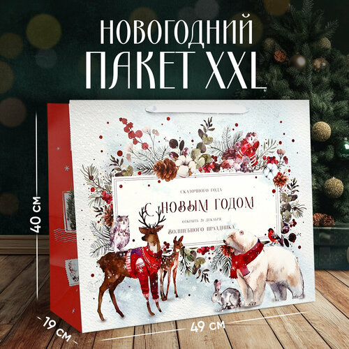 ���������� ����� ���������� �������� ������, XL 49 � 40 � 19 ��, ���������� �����