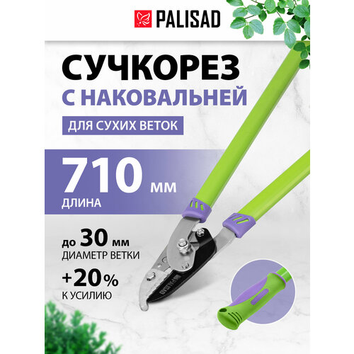 ���������� ��������  PALISAD 60520 710