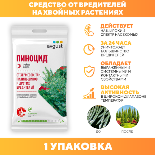 ���������� �������� �� ��������� ���������� �� ������� ��������� �������, Avgust 2 �� 1 ��