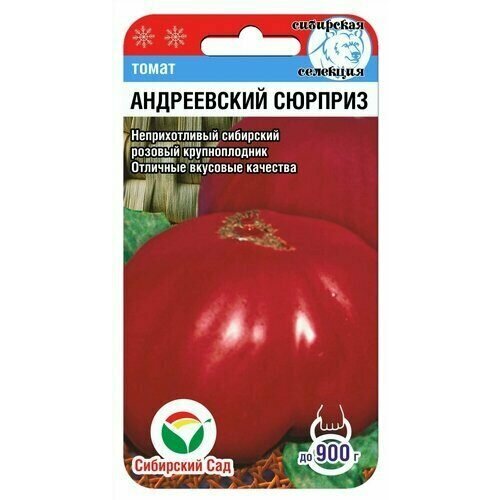 ���������� ������ ����� ����������� ������� 20�� ����� (��������� ���)