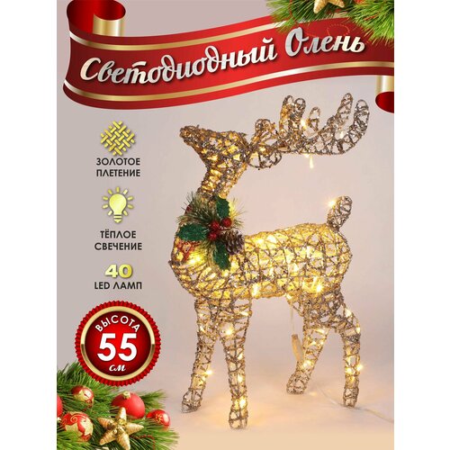 ���������� ����� ���������� ������������ ���������� 50 �� �������