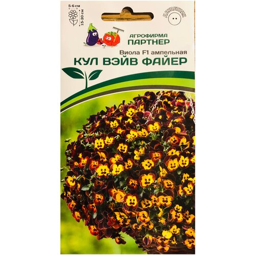 ���������� ������ ����� ��������� 