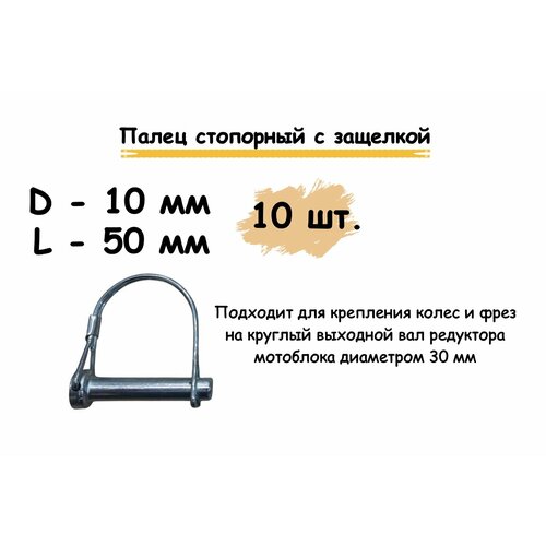 ���������� ��������� ������ 10*50(42) �� � ��������� ������ (10 �� � ���������)
