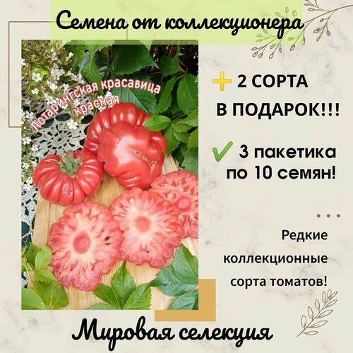 ���������� ����� ������������ ��������� �������, ������� ��������, ������ �� �������������