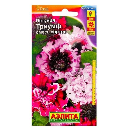 ���������� ������ ������ ������� 