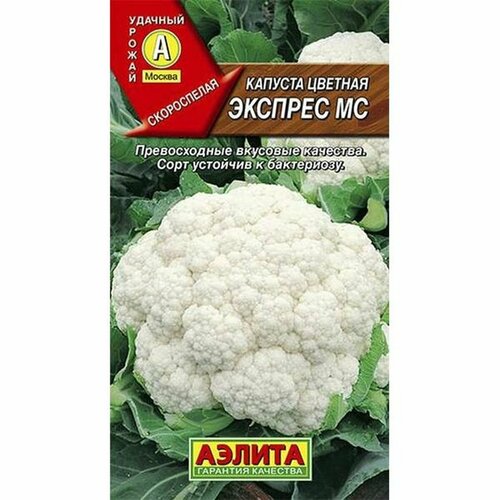 ���������� ������ ������� ������� ��������, �����������, (������) 0,3�