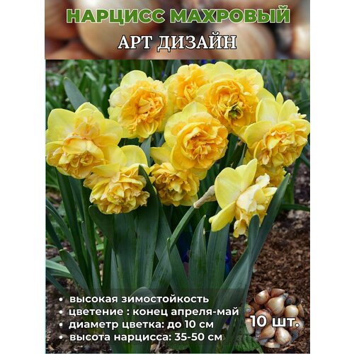 ���������� ������� ��������, �������� 10 ����