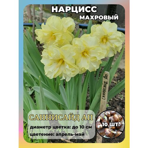 ���������� ������� ��������, ����������� ���������� �����, 10 ��.