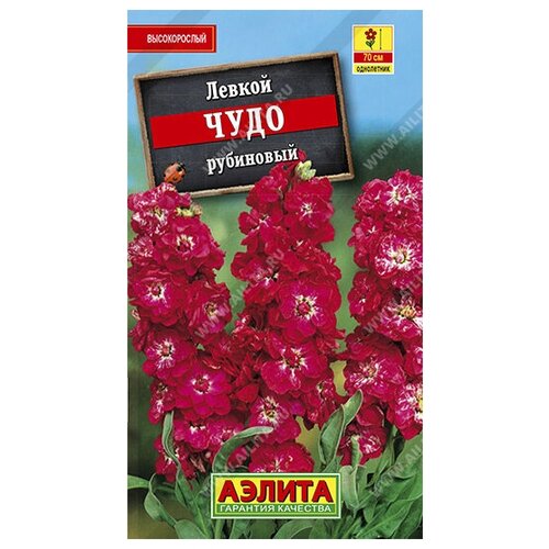 ���������� ������. ������ ������������ 