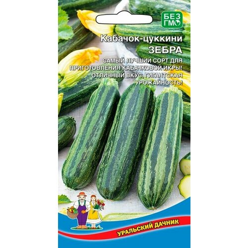 ���������� ������� �����, 1 �����, ��������� ������, ������ 10��, ��� ���������� ����