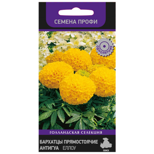 ���������� ������ ��������� ����� ����������� �������� ������������ ������� ����� 15 ��