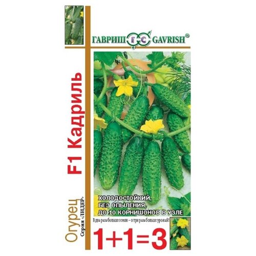 ���������� ������ ������� F1, 20 ��.