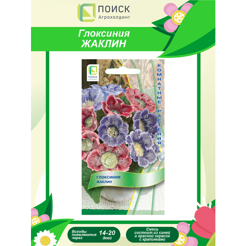 ���������� ������ ��������� ������ ��������� 5 ��.