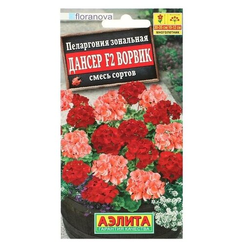 ���������� ������ ������ ���������� 