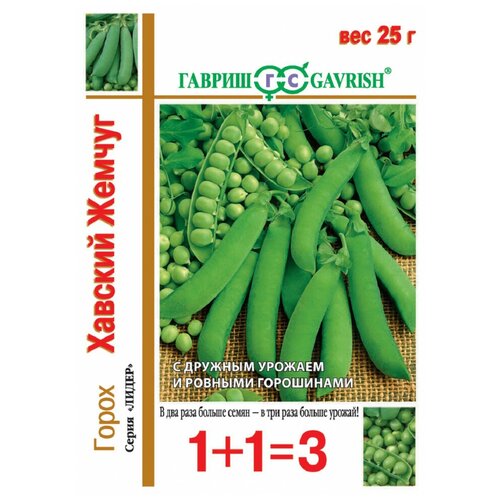 ���������� ������ ������ ����� 1+1 