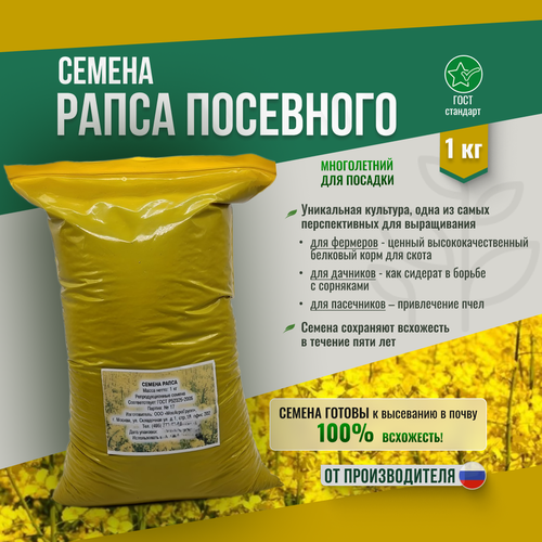 ���������� ������ ����� - 1 �� ������������