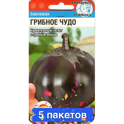 ���������� ������ ������ ��������� ��� 