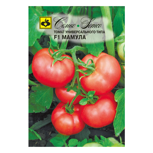 ���������� ������ ����� ������ F1 0,1� ��� ������ (�����)