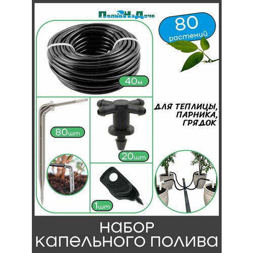 ���������� ����� ���������� ������ �� 80 �������� ��� �������, �������, ������