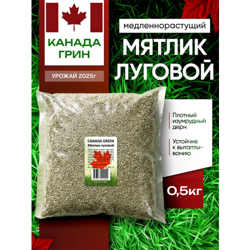 ���������� ������ ������� ������ 100% Canada Green, 0,5 ��