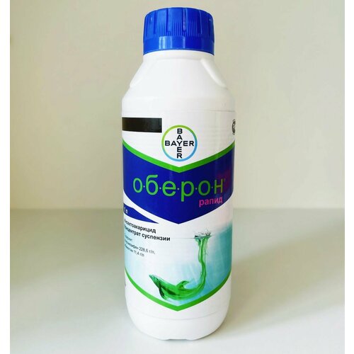 ���������� ������ �����, �� 1 � �������-�������� ������ ��������� ������ ���������������� ������