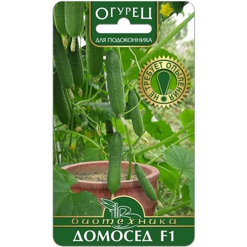 ���������� ������ ������������������ ������� ��� ����������� (������ ����������, 6 ��. ����� � ��������)