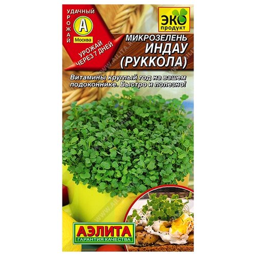 ���������� ������ ��������� ������ ����������� ������� 5 �