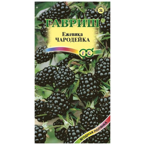 ���������� ������ ������ ������� ���������, 10 ��.