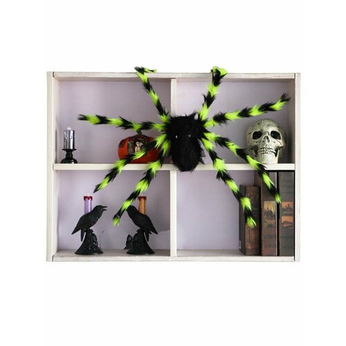 ���������� ���������� �������� ���� 75 �� �������� �������