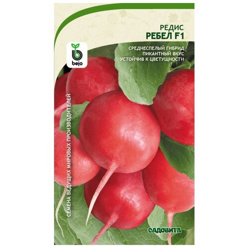 ���������� ������ ����� ����� F1 1�� �������� (3 ������)