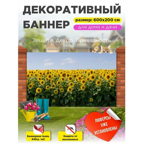 ���������� ��������� ������ �� ����� � ��������� 600�200 ��