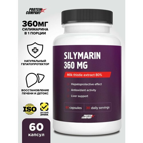 ���������� ��������� 360 �� PROTEIN.COMPANY, Silymarin, ���������������, �������� ����������, 60 ������